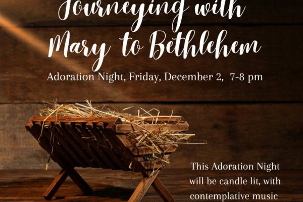 Journeying with Mary to Bethlehem-2