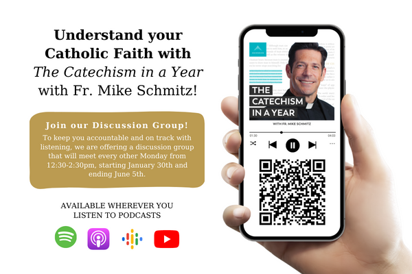 Understand your Catholic Faith with The Catechism in a year with Fr. Mike Schmitz