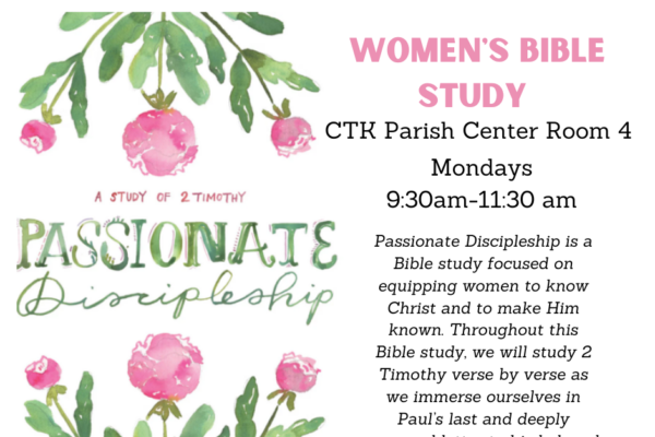 Womens Bible Study