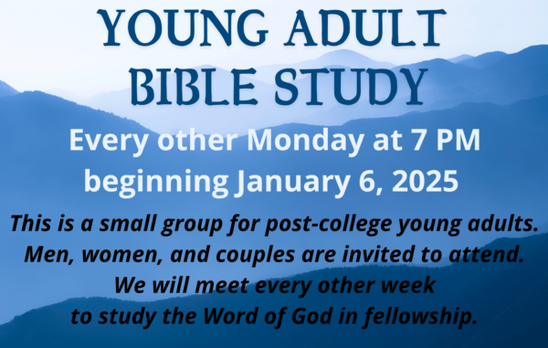 Young Adult bible Study (1)